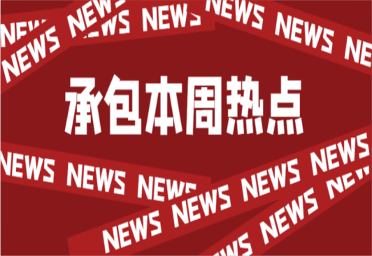 高壓、低壓接入的工商業(yè)儲(chǔ)能電站長啥樣？
